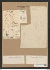 Triceratium arcticum Brightw. (de-Toni-Nr.: Genus 140, Species 3719) Zeichnungen Sammlung Grunow Nr. 7210 (NHMW-BOT-W0376199)